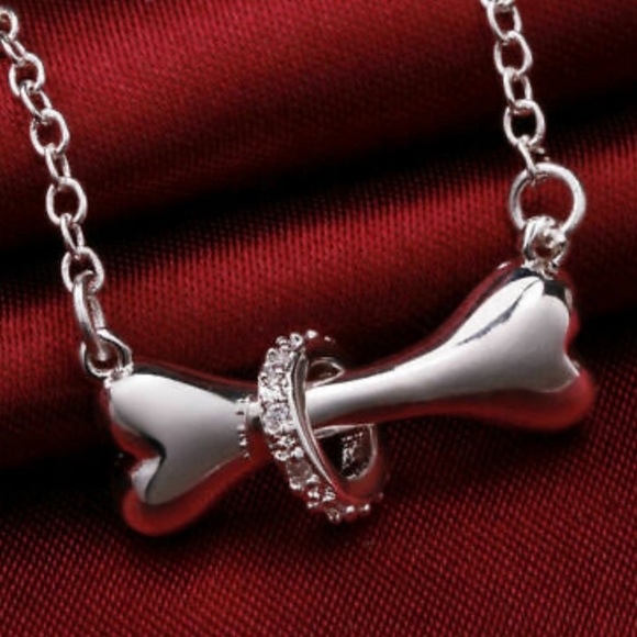 Jewelry - NEW 925 Sterling Silver 🦴 Bone Necklace